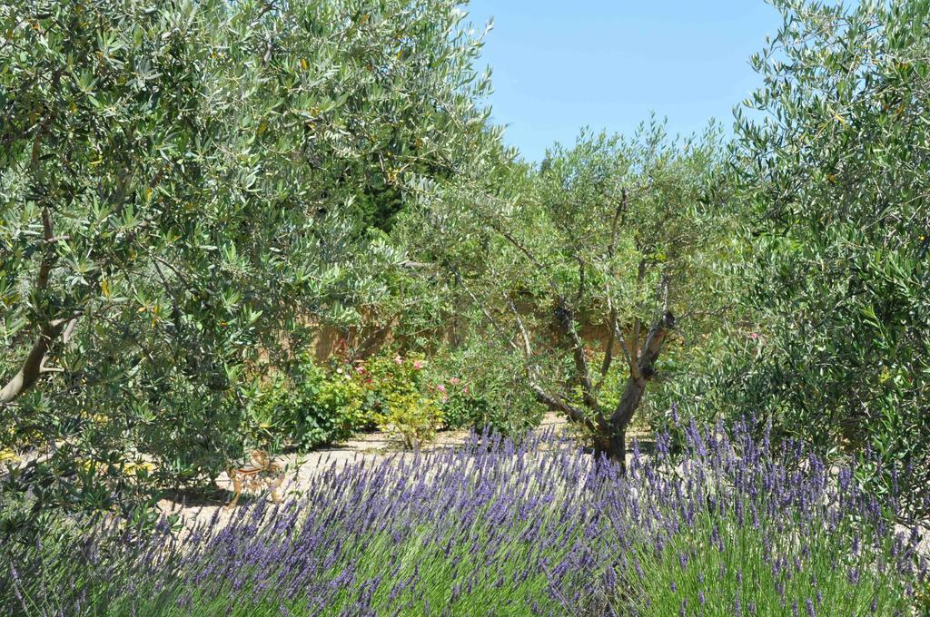 La Maison De Line Saint-Rémy-de-Provence Habitación foto